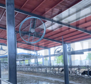 dairy farm fans, Khaleeq Engineering Pvt Ltd.