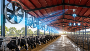 Dairy Fans for Pakistan, dairy fan, dairy farm fan price in pakistan, fans for dairy farm, pakistan dairy