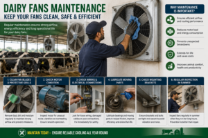 Dairy Fans, dairy fan, dairy farm fan price in pakistan, fans for dairy farm, pakistan dairy